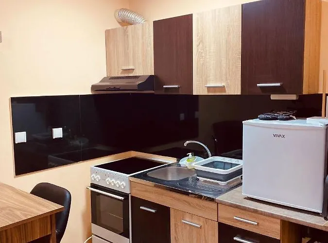 Aleksa Daire Belgrad